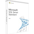 SQL 2019 SERVER STD ESD online (no cals)