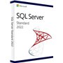 SQL 2022 SERVER STD ESD online (no cals)
