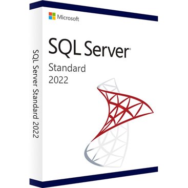 SQL 2022 SERVER STD ESD online (no cals)
